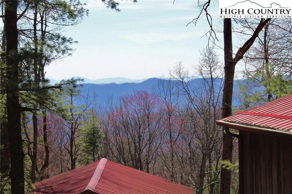 Image number 4 for the current listing