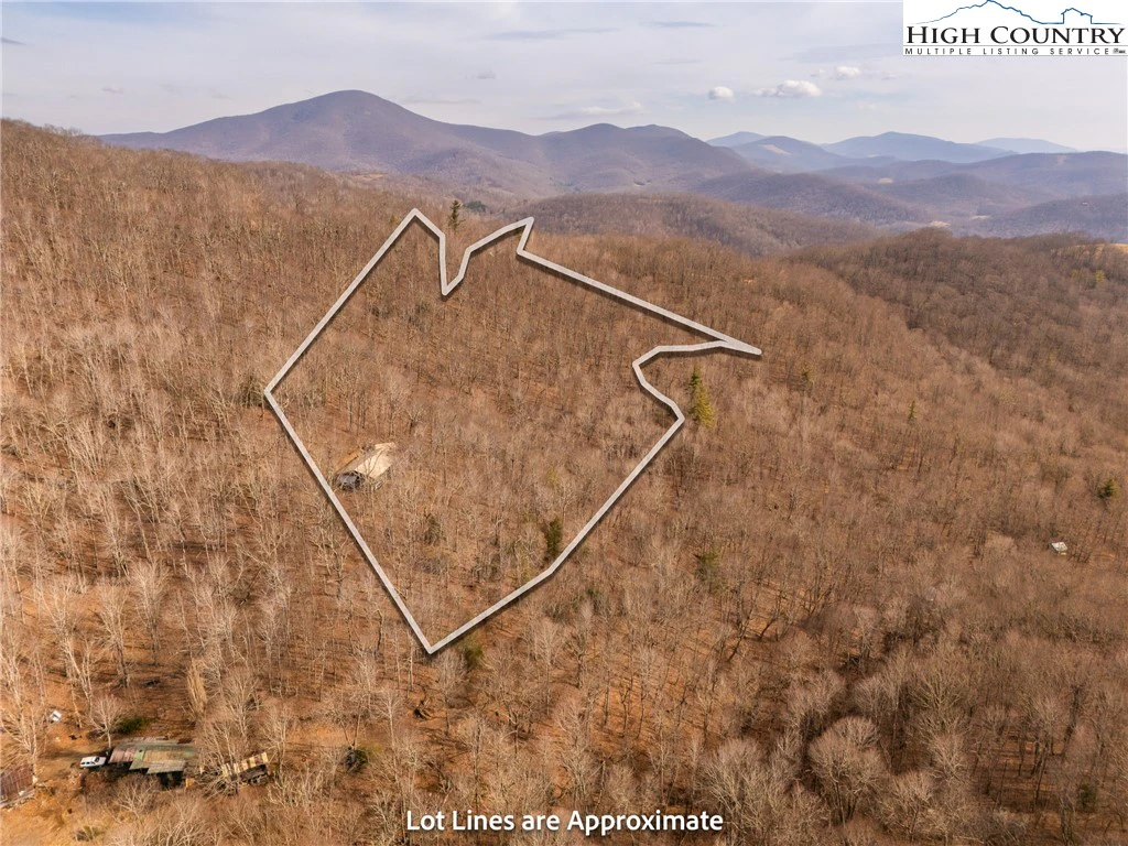 Image number 1 for the current listing