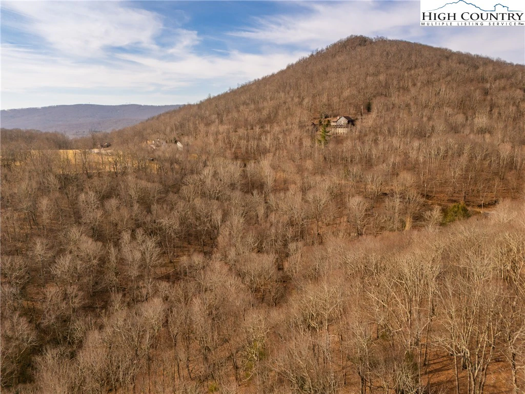 Image number 5 for the current listing