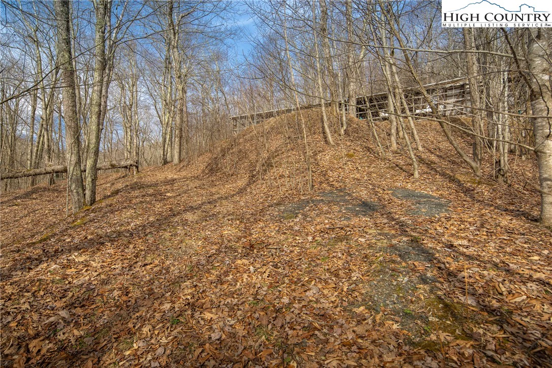 Image number 11 for the current listing