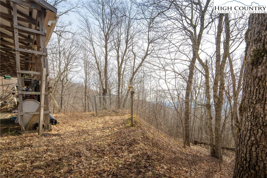 Image number 12 for the current listing