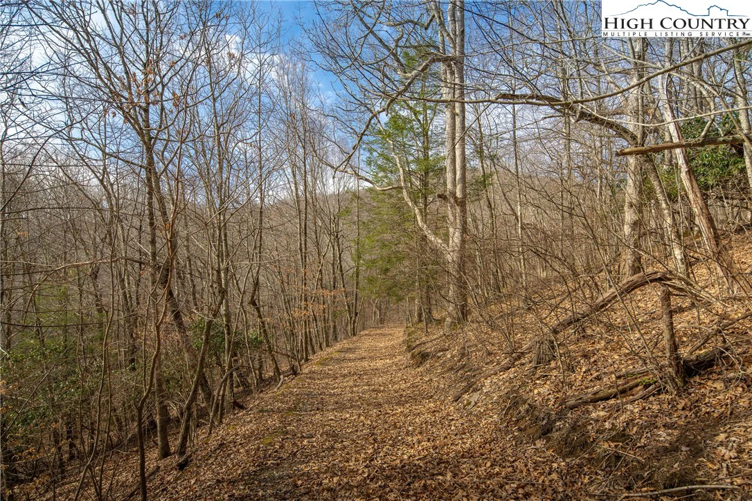 Image number 13 for the current listing