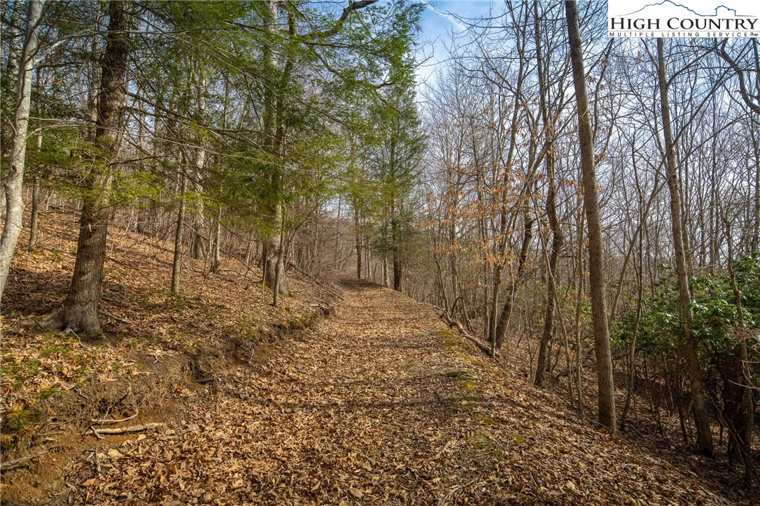 Image number 2 for the current listing