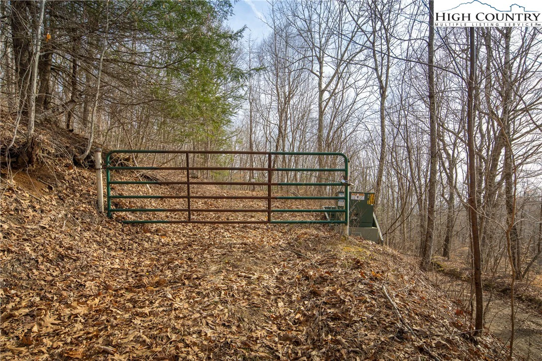 Image number 16 for the current listing