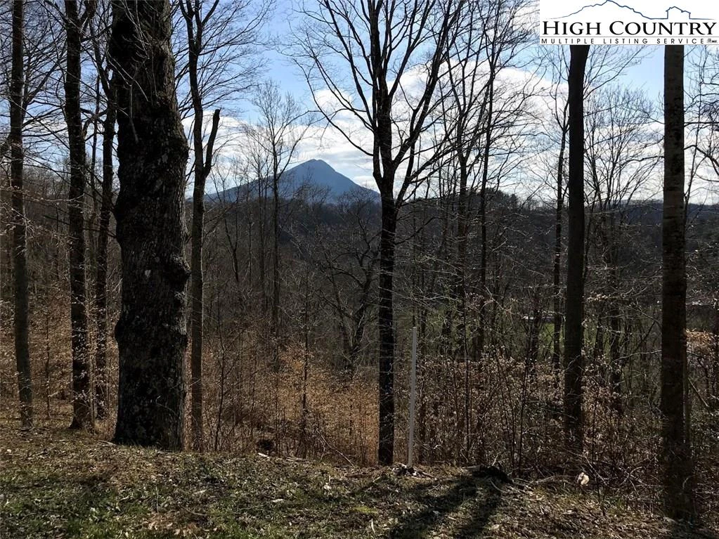 Image number 1 for the current listing