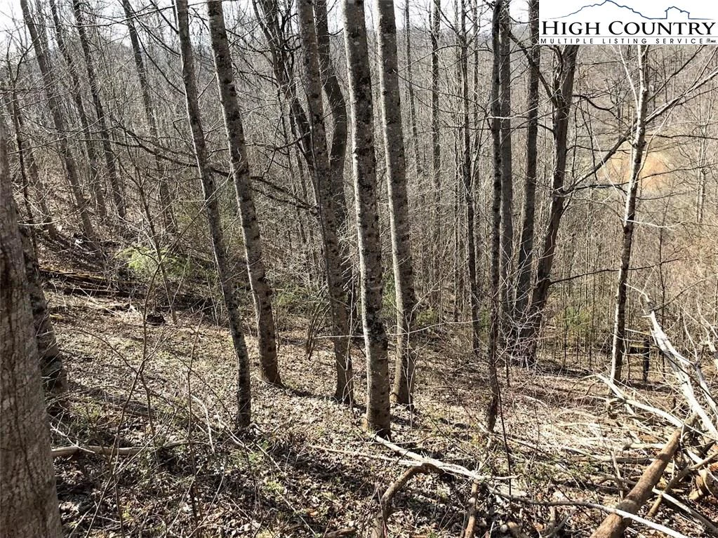 Image number 11 for the current listing