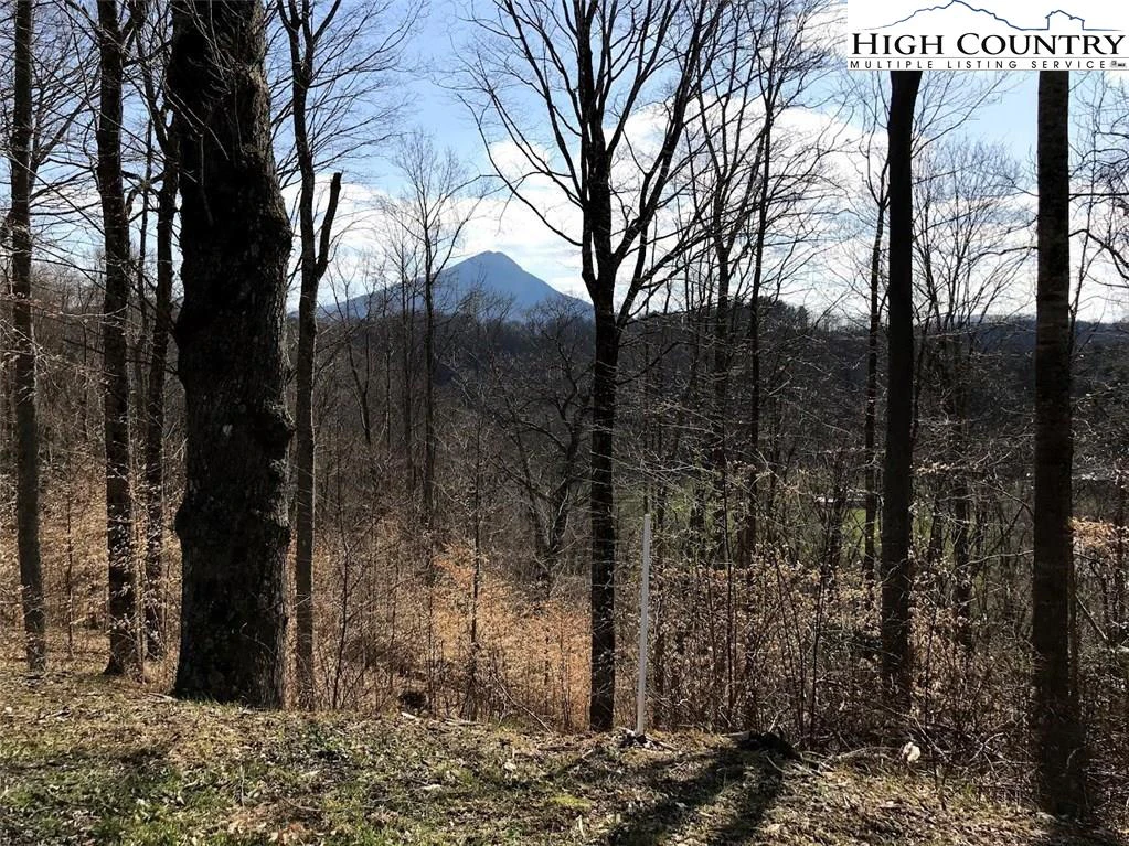 Image number 9 for the current listing