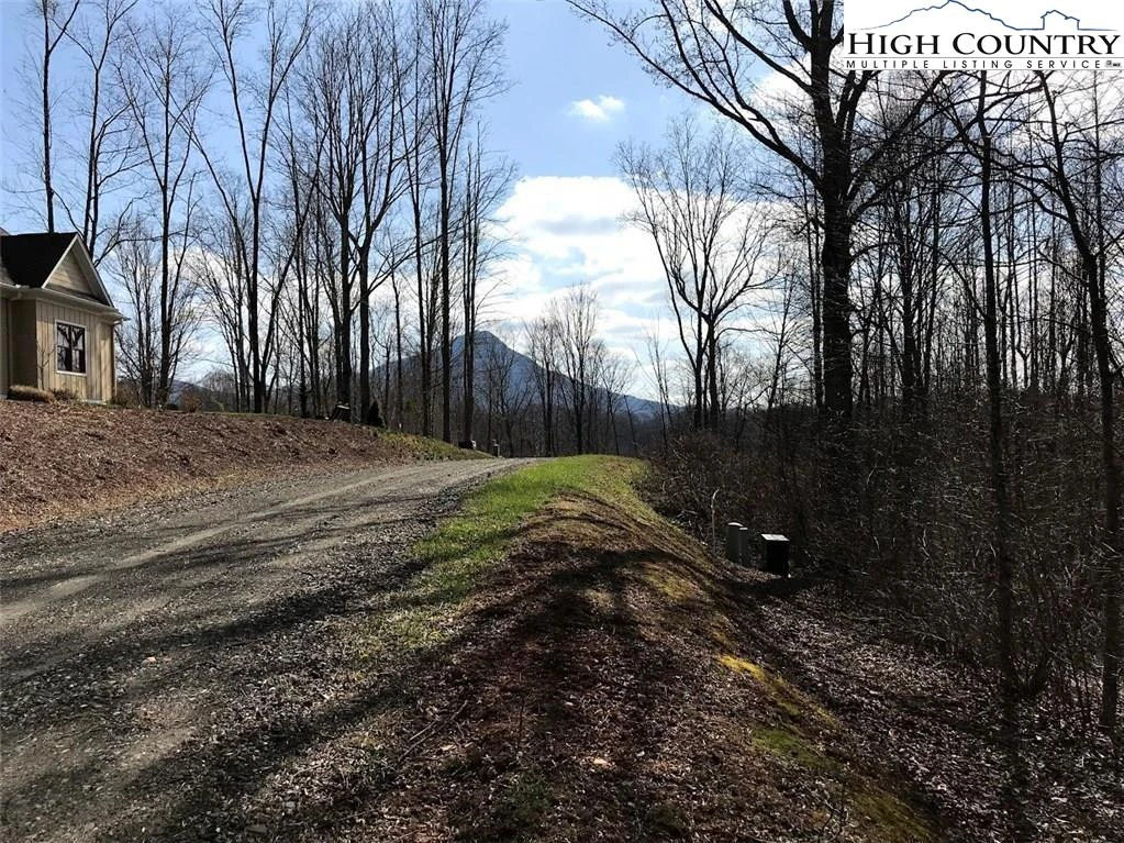 Image number 13 for the current listing
