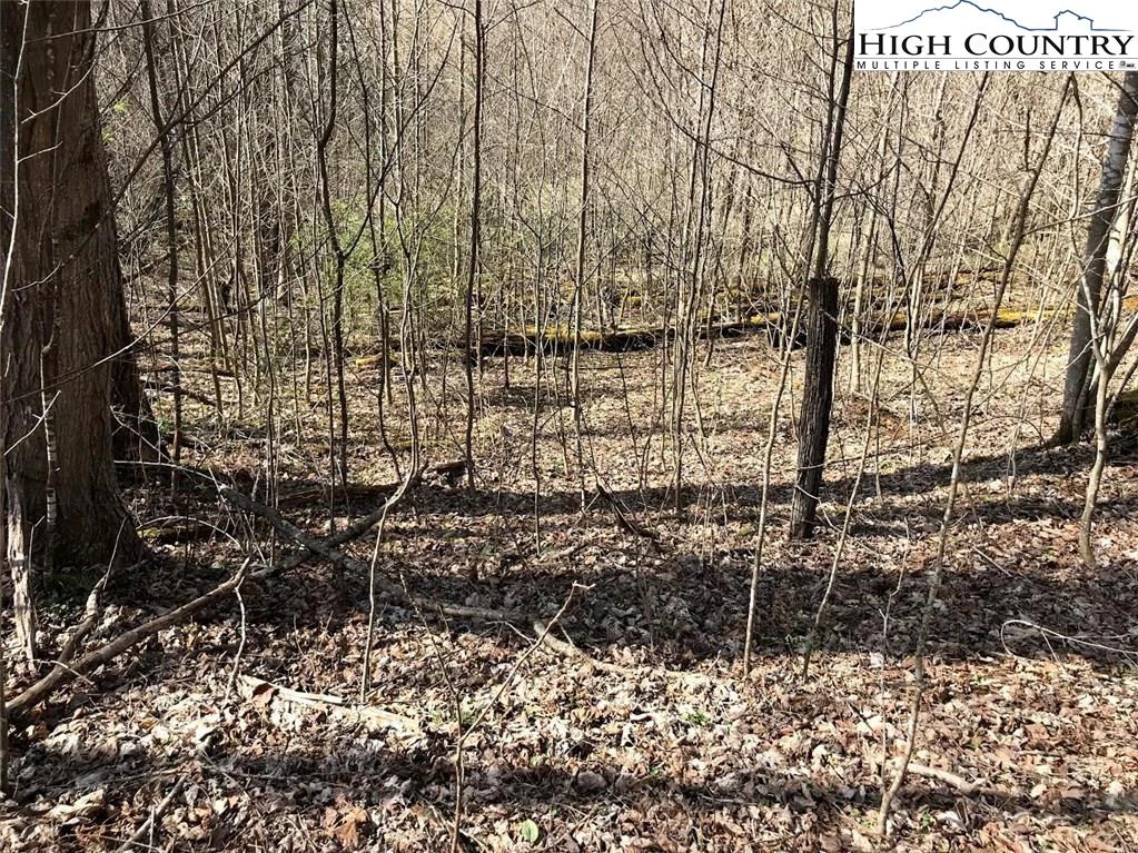 Image number 2 for the current listing