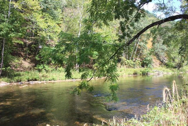 Image number 1 for the current listing