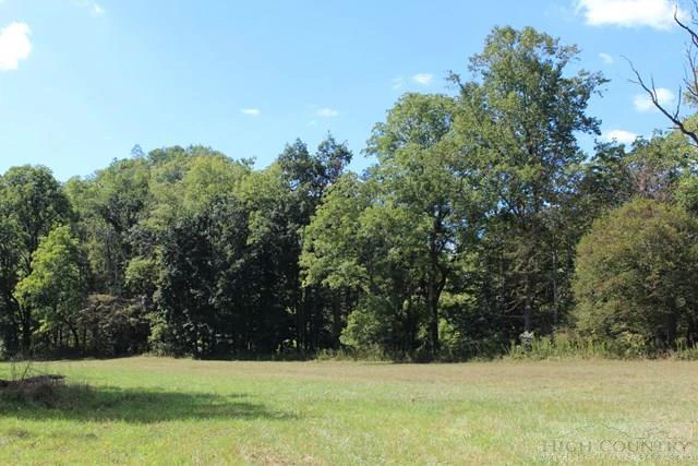 Image number 3 for the current listing
