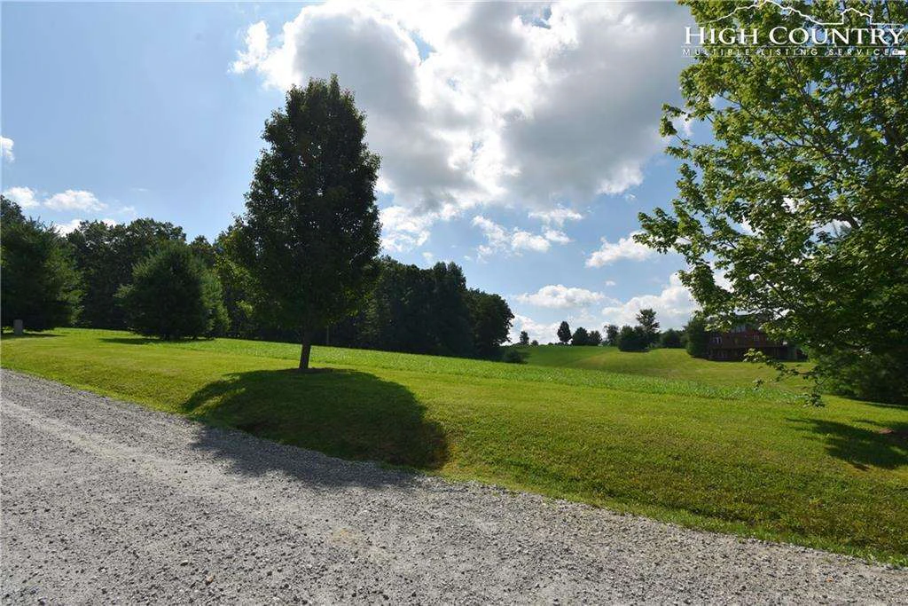 Image number 1 for the current listing