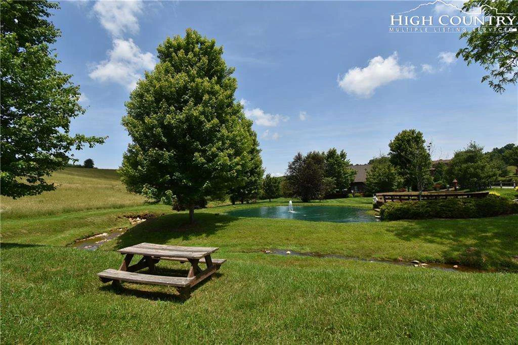 Image number 5 for the current listing