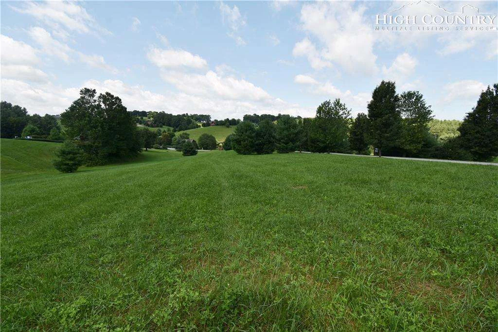 Image number 14 for the current listing