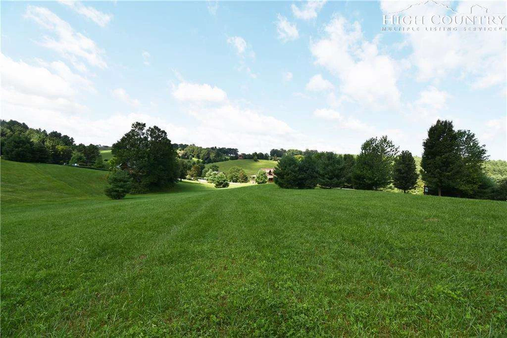 Image number 13 for the current listing