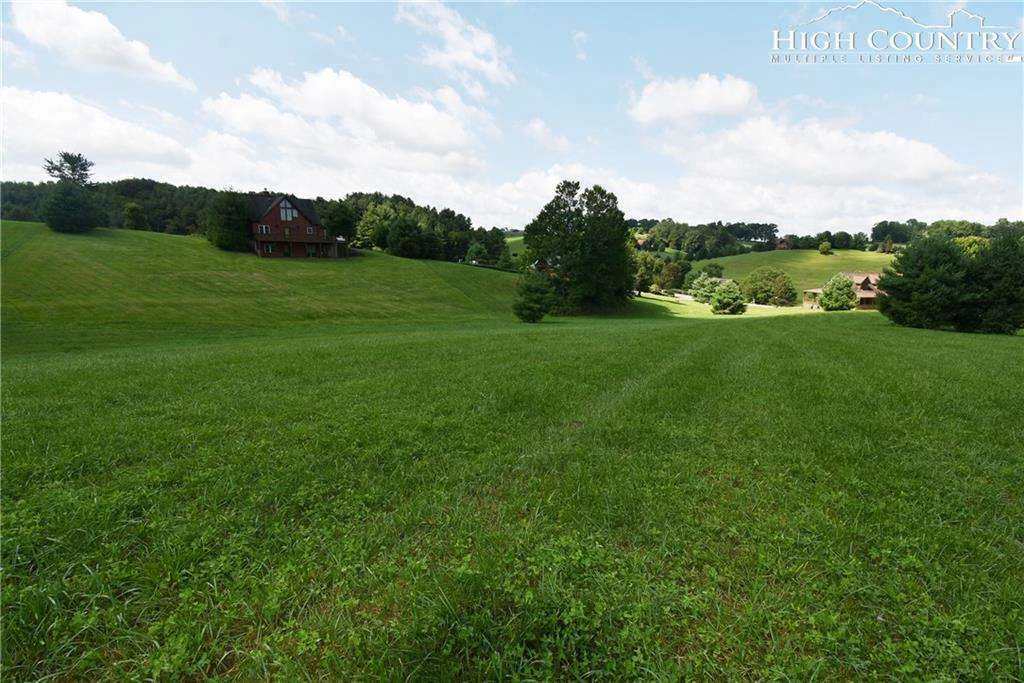 Image number 12 for the current listing