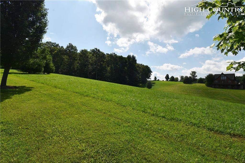 Image number 11 for the current listing