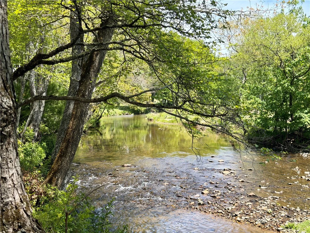 Image number 5 for the current listing