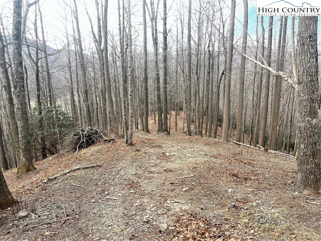 Image number 5 for the current listing