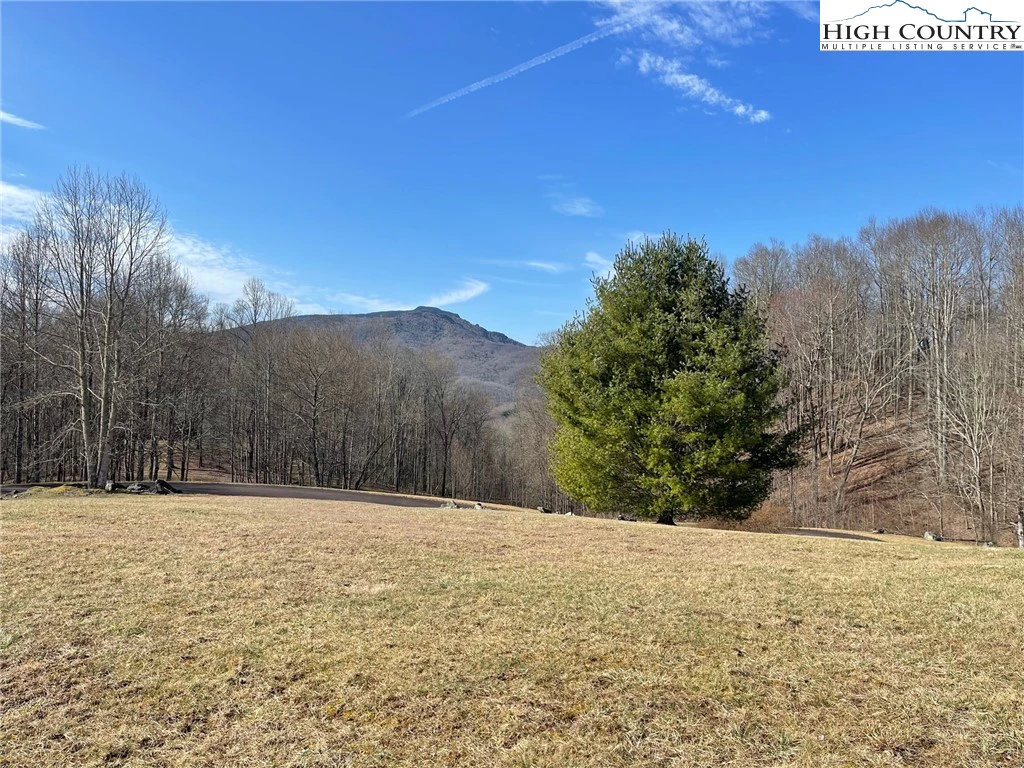Image number 7 for the current listing