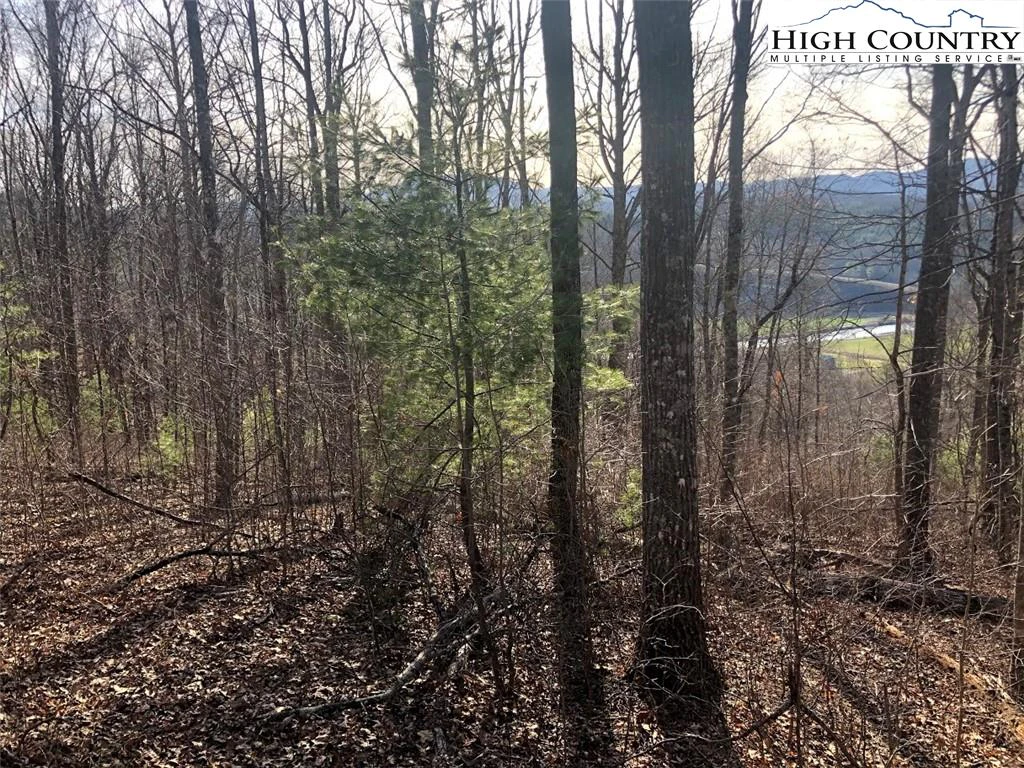 Image number 1 for the current listing