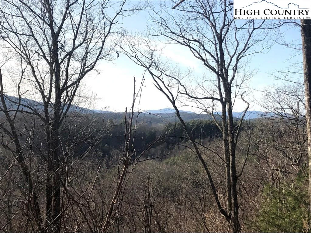 Image number 16 for the current listing