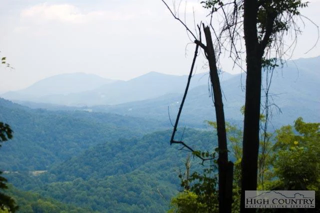 Image number 1 for the current listing