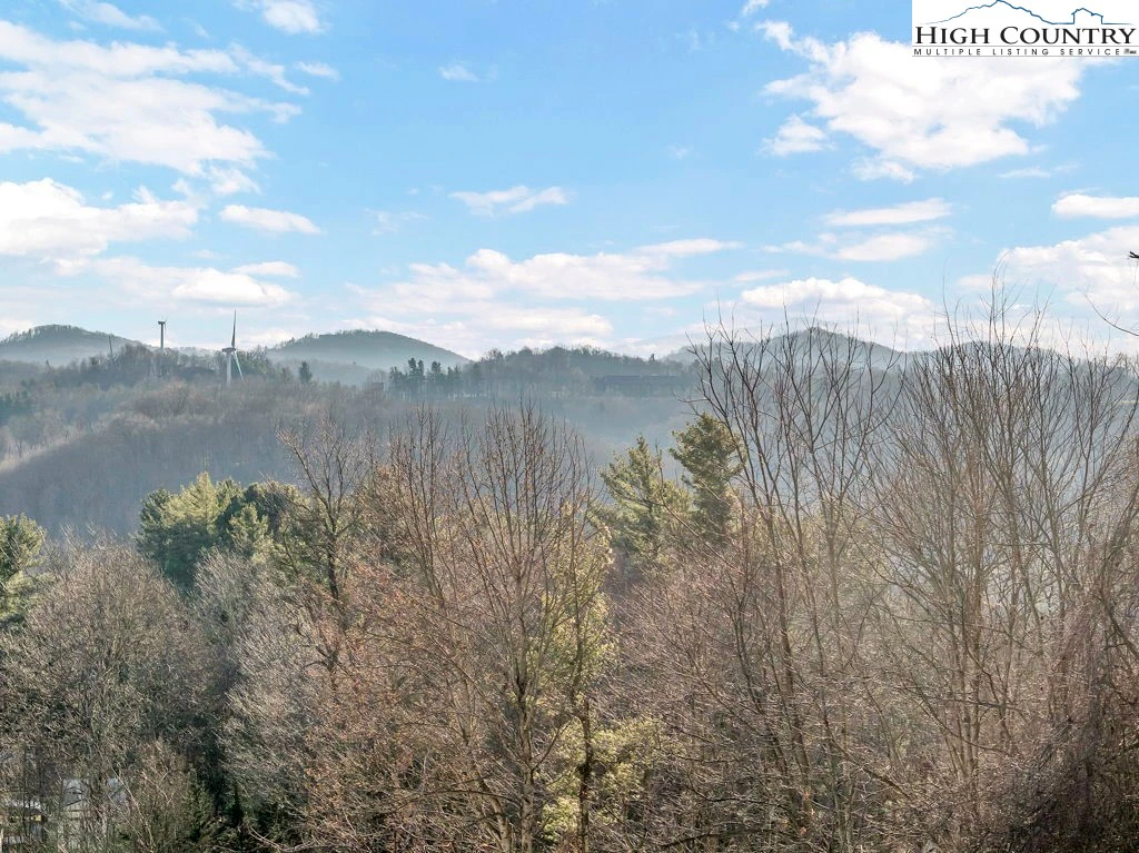 Image number 12 for the current listing