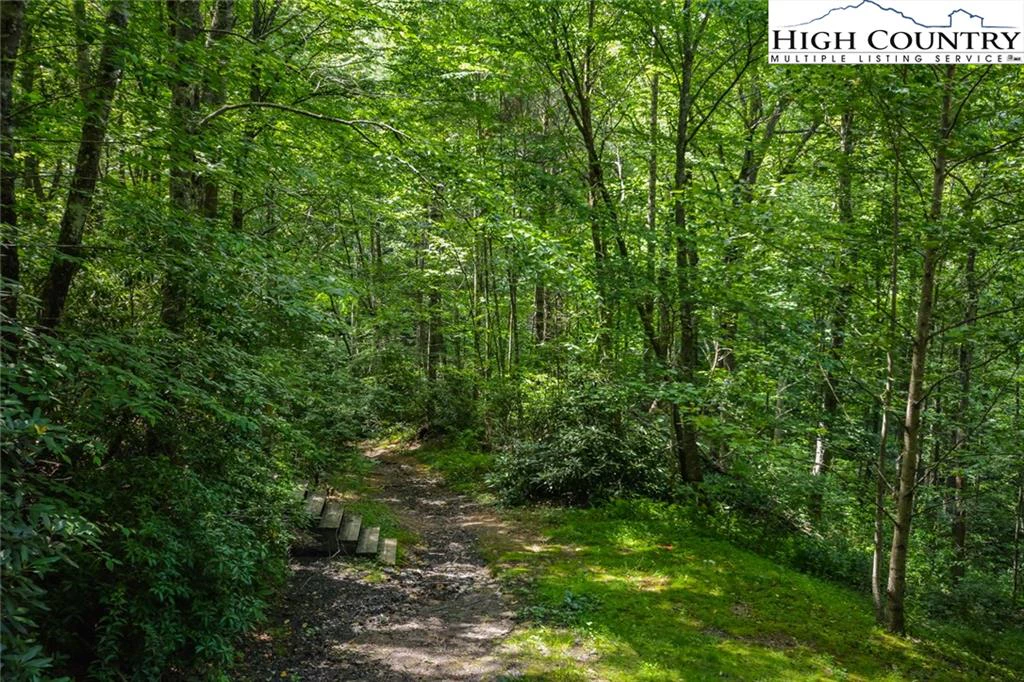 Image number 16 for the current listing