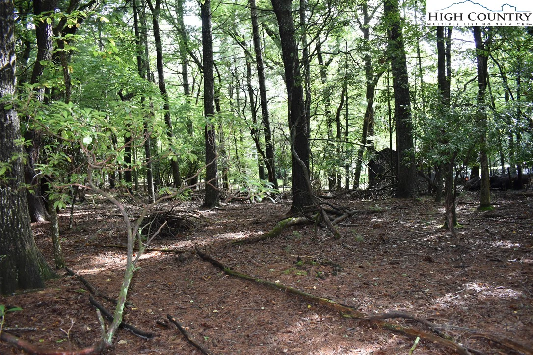 Image number 3 for the current listing