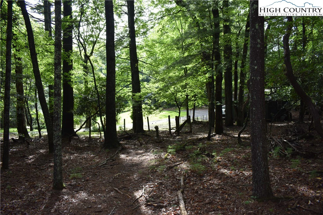 Image number 8 for the current listing