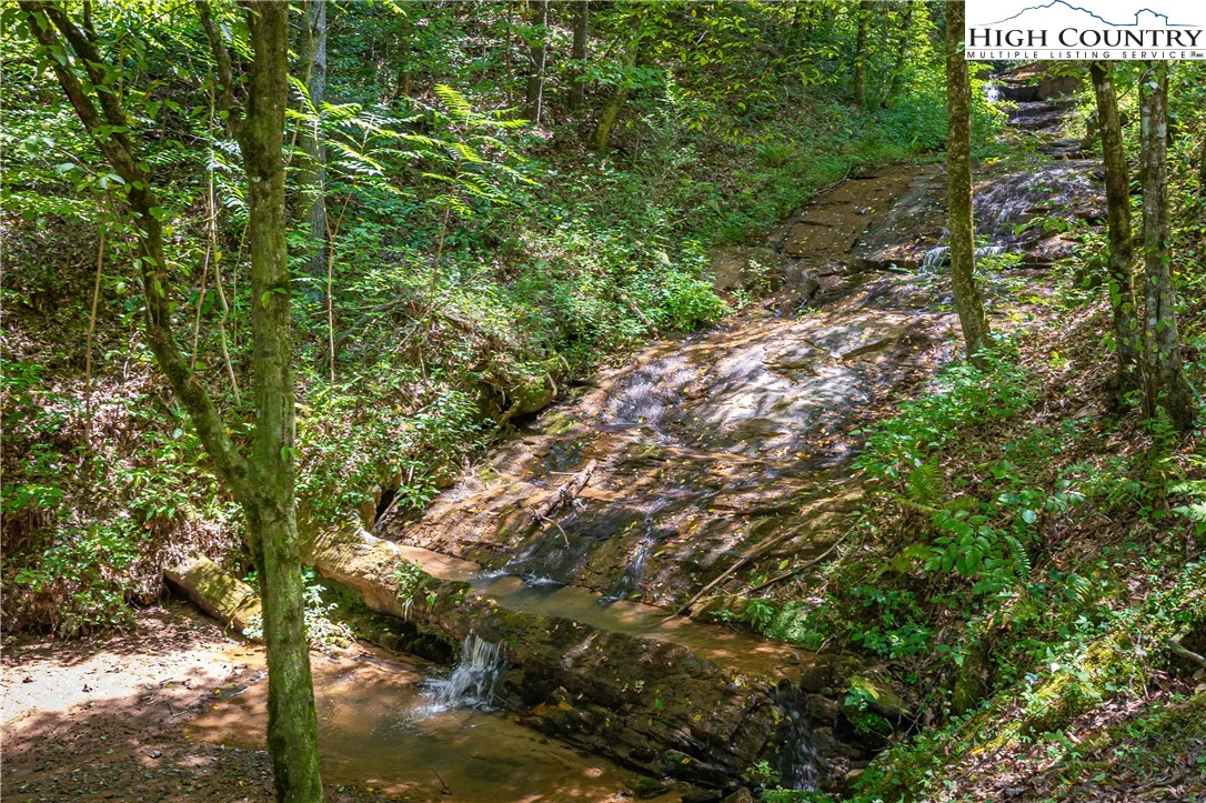 Image number 11 for the current listing