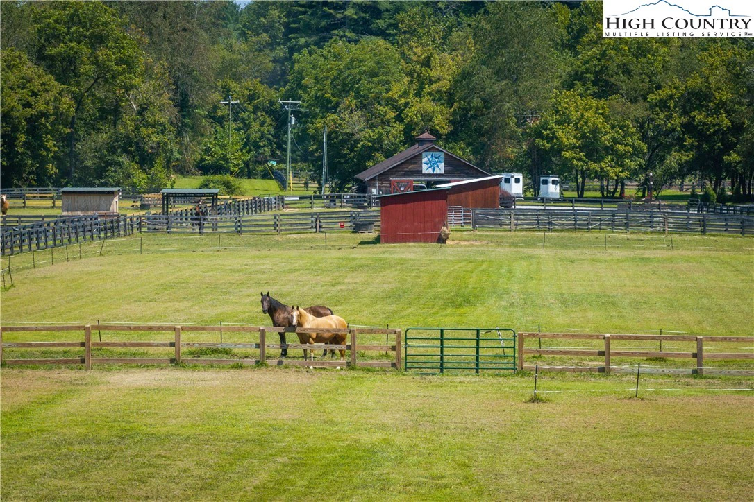 Image number 13 for the current listing