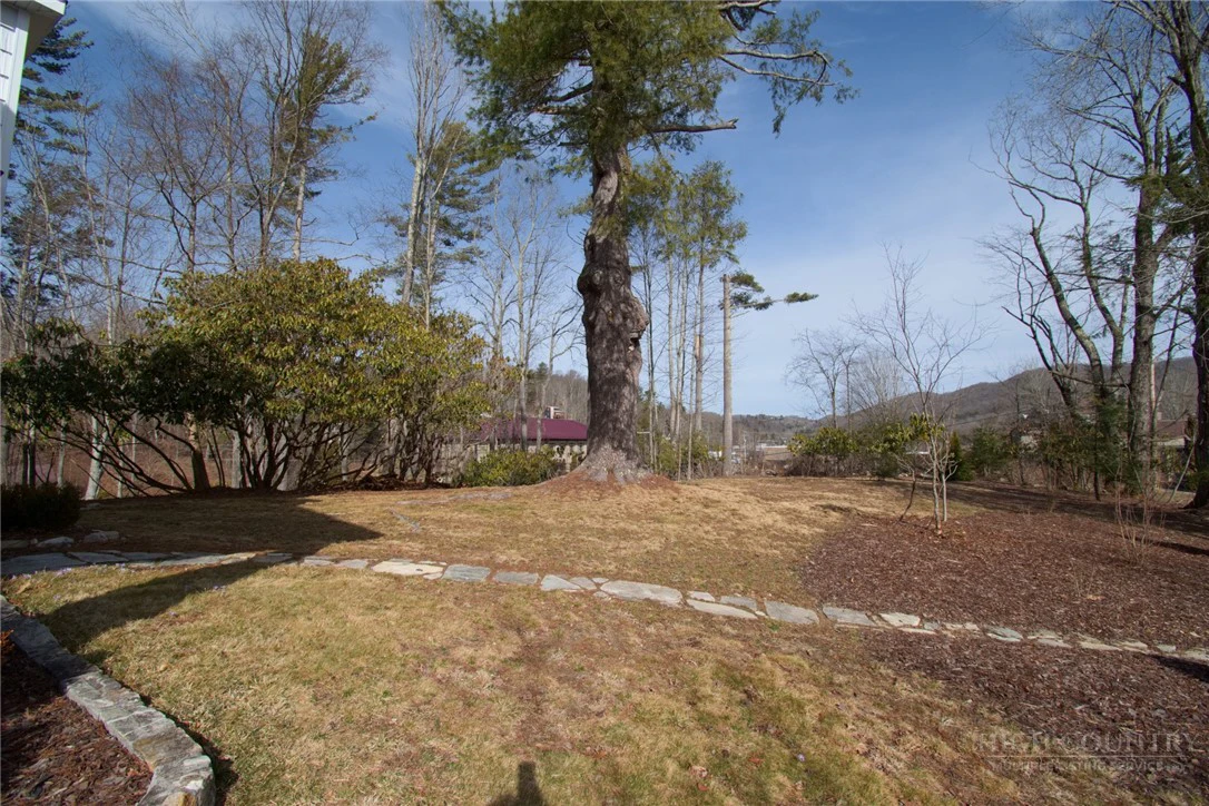 Image number 8 for the current listing