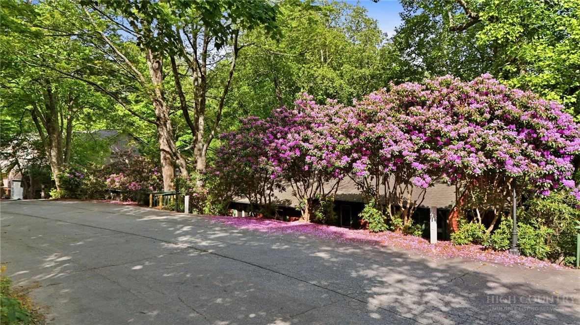 Image number 15 for the current listing