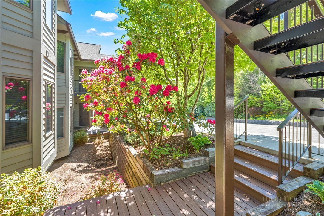 Image number 5 for the current listing