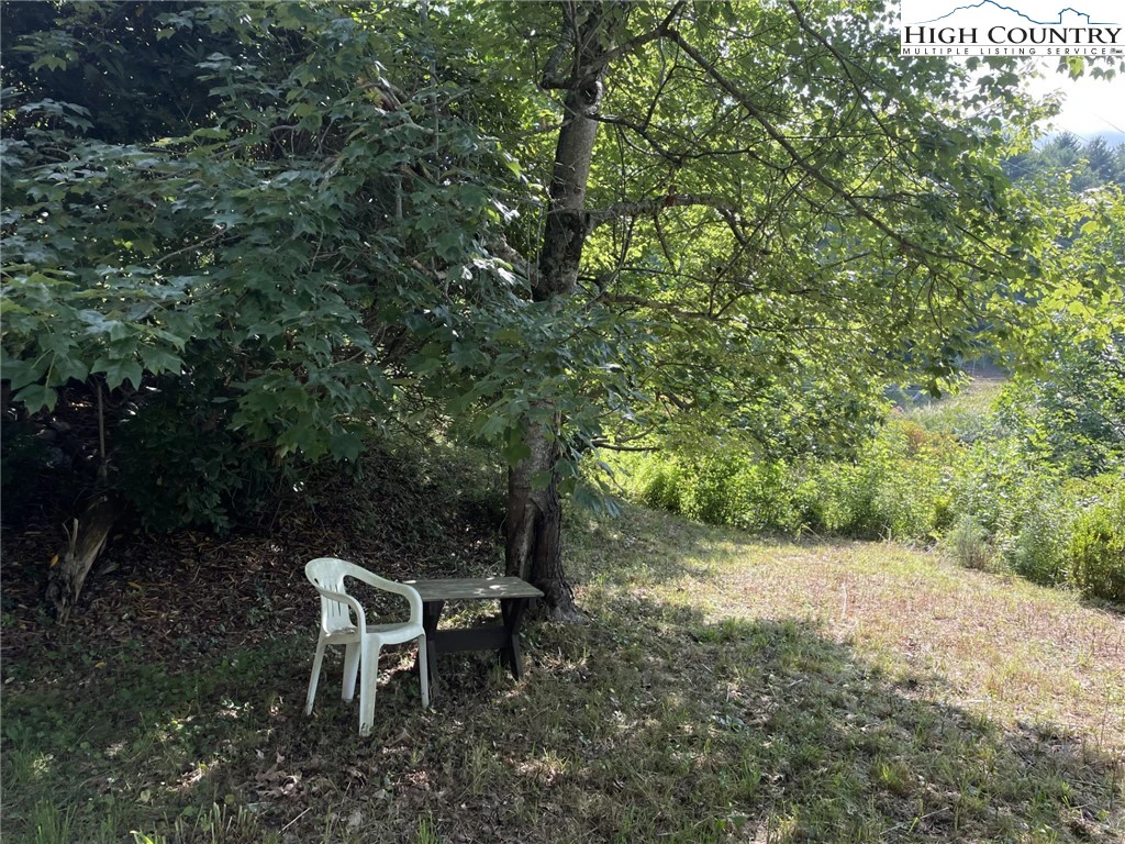 Image number 3 for the current listing