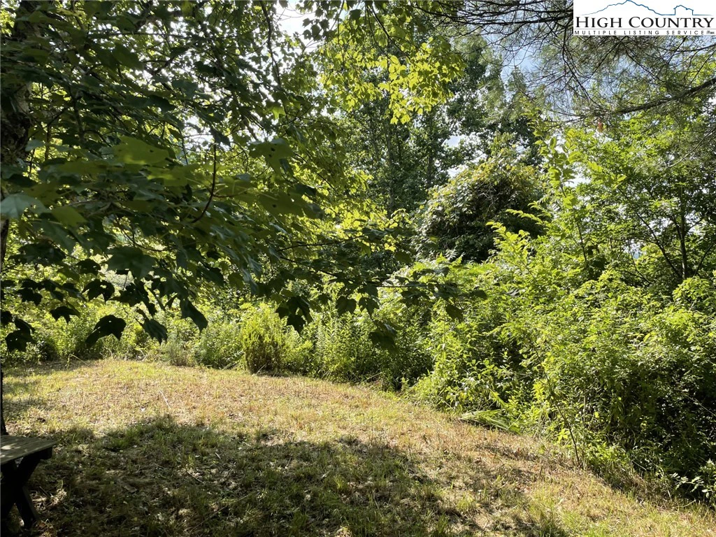Image number 4 for the current listing