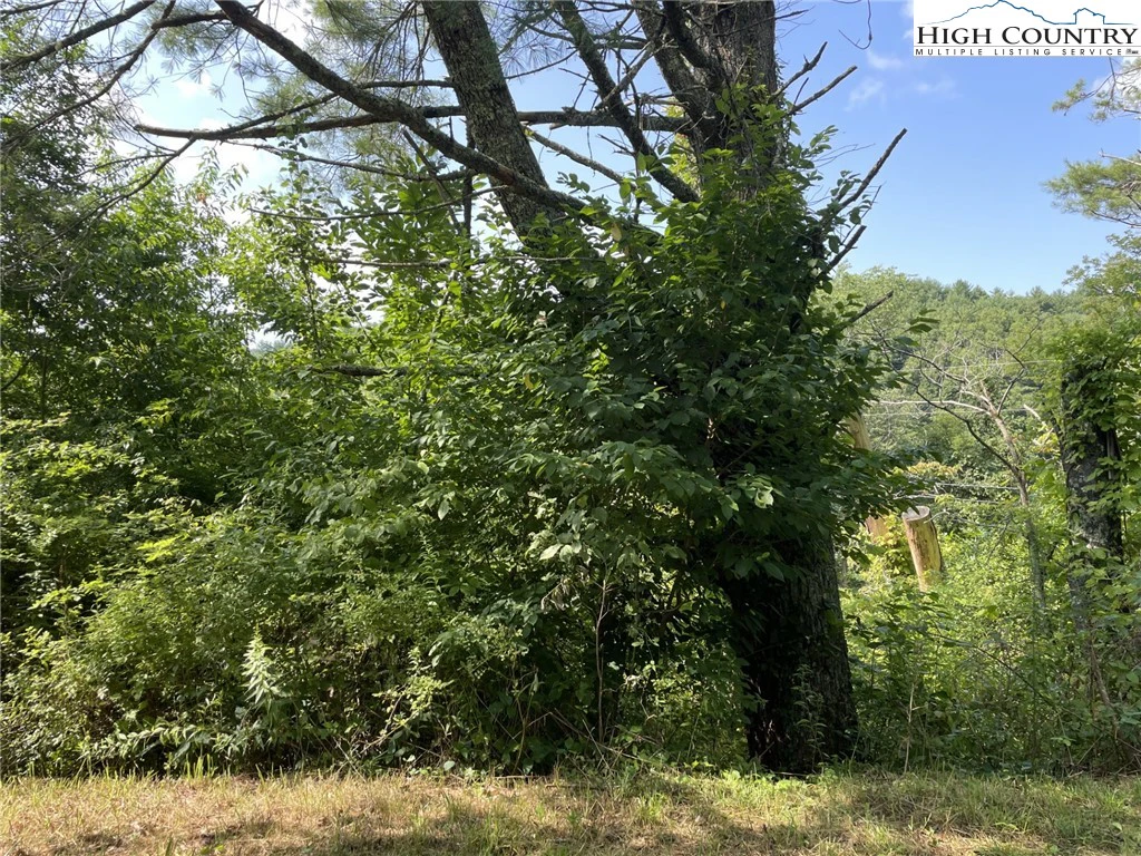 Image number 5 for the current listing