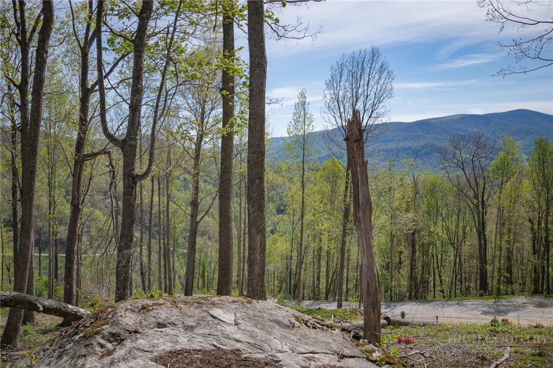 Image number 1 for the current listing