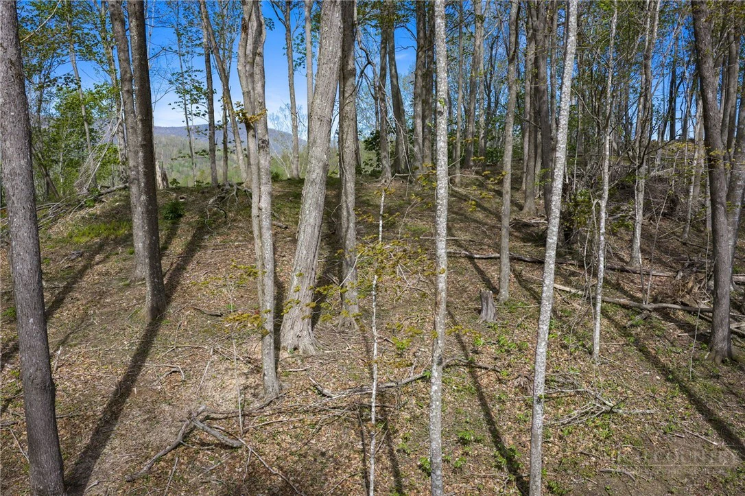 Image number 14 for the current listing