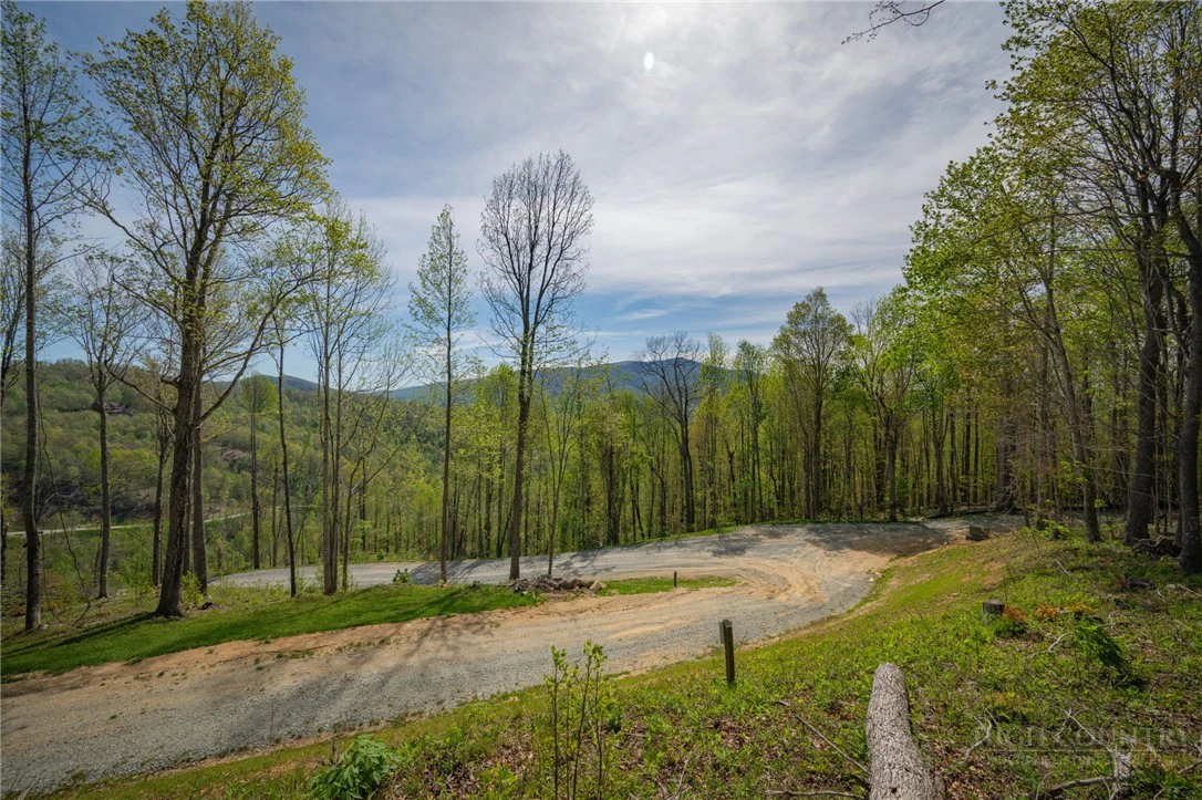 Image number 11 for the current listing