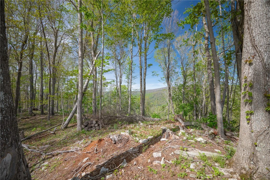 Image number 9 for the current listing