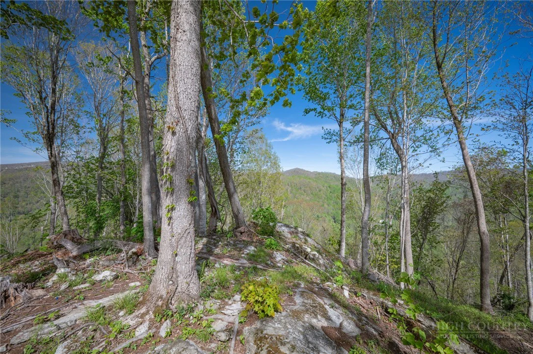 Image number 8 for the current listing