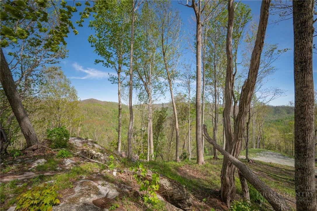 Image number 7 for the current listing