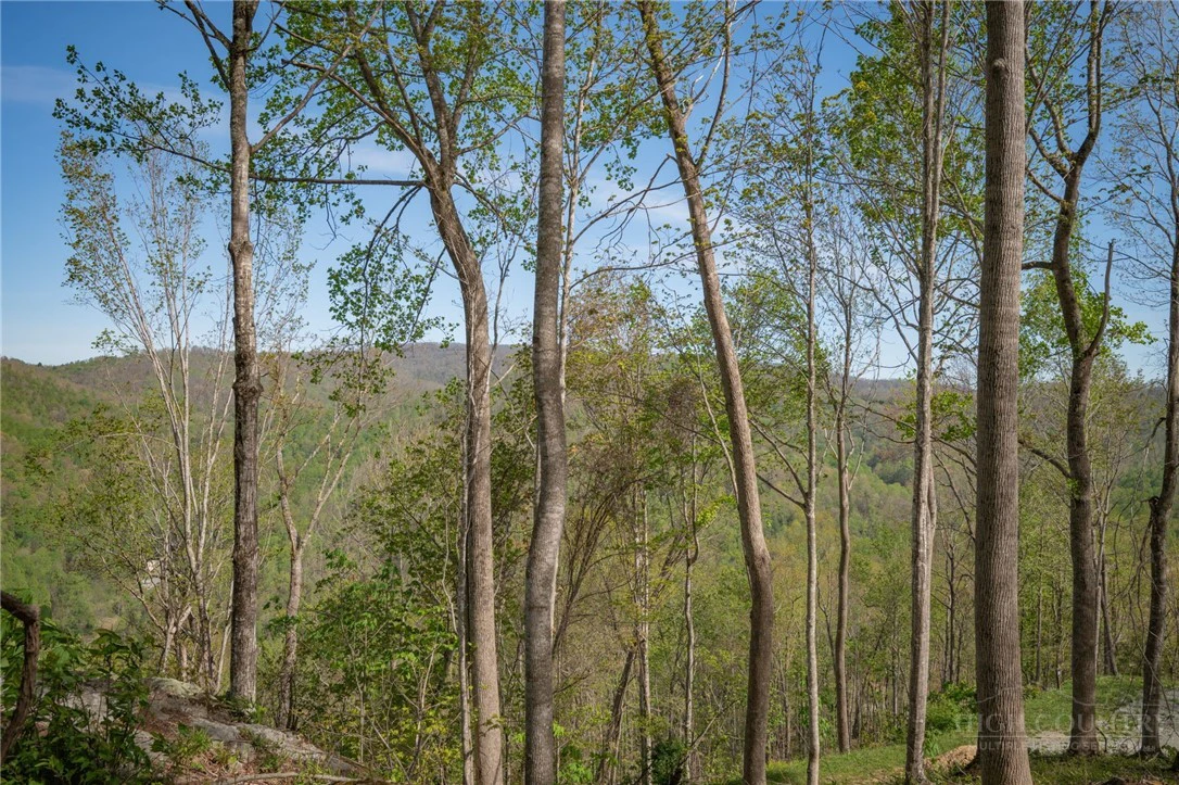 Image number 6 for the current listing