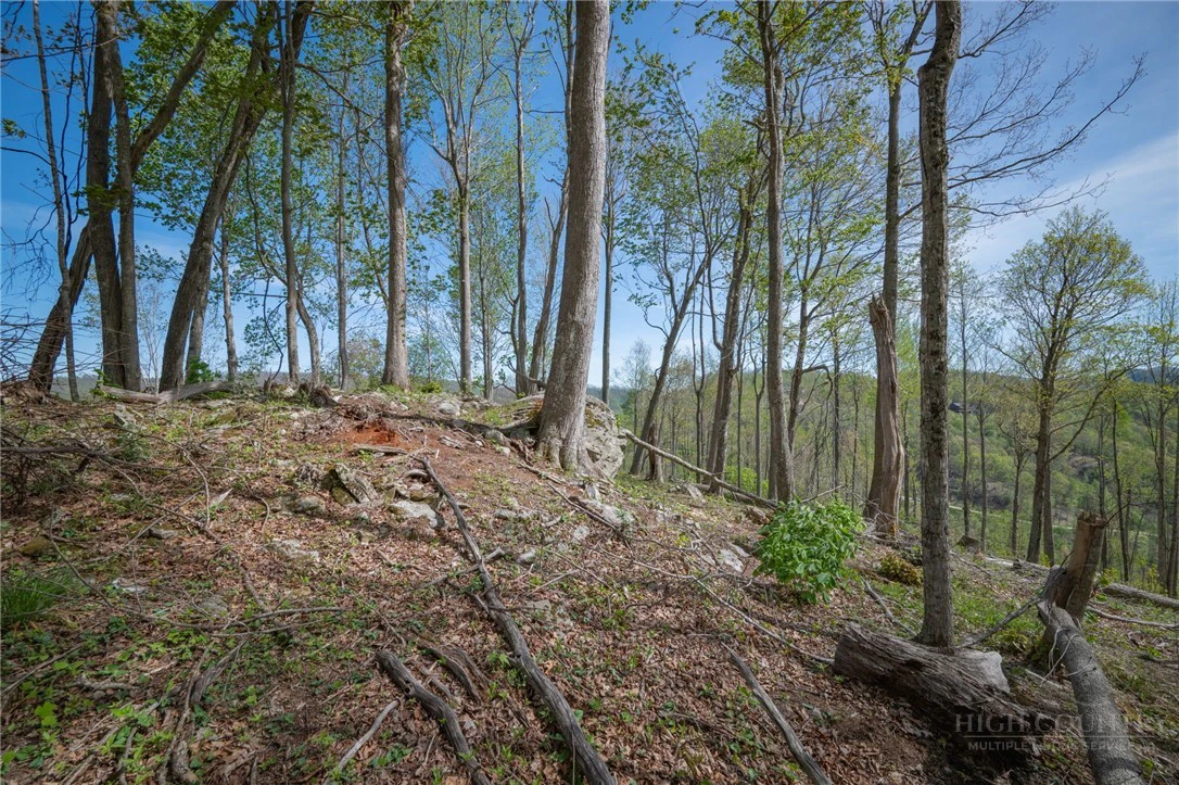 Image number 5 for the current listing