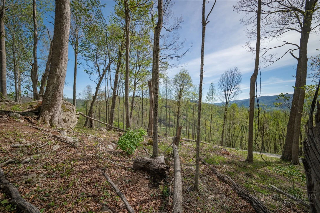 Image number 4 for the current listing