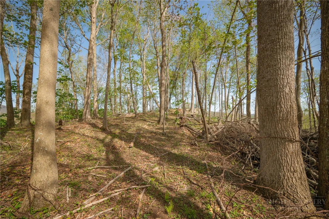 Image number 3 for the current listing