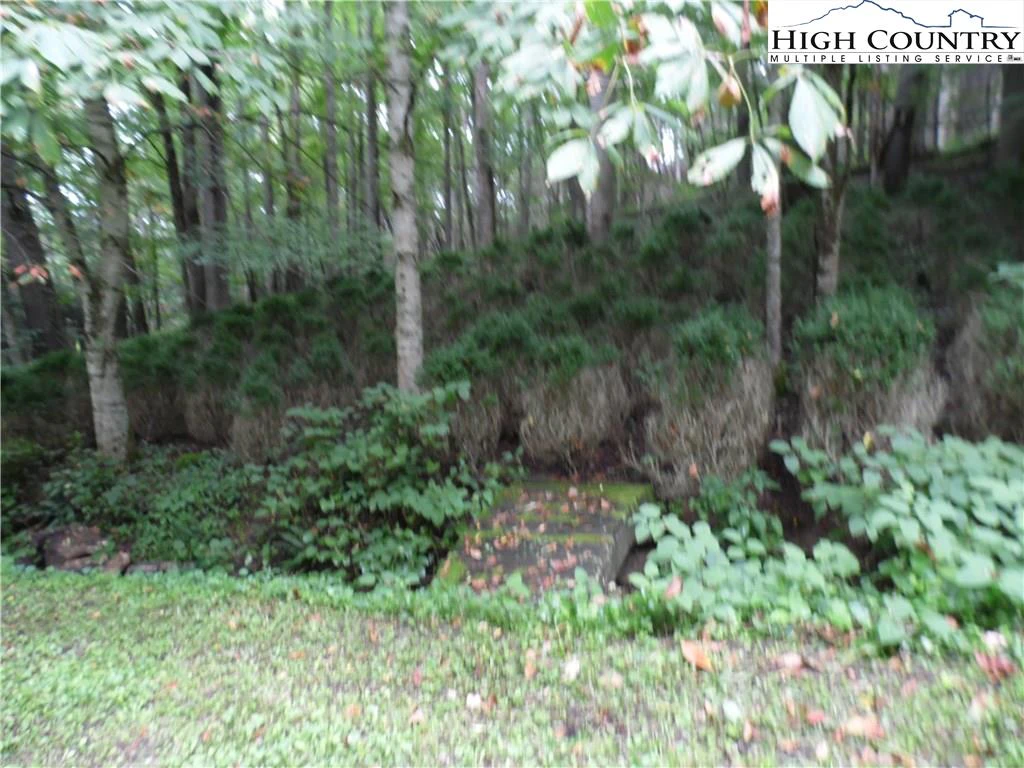 Image number 5 for the current listing